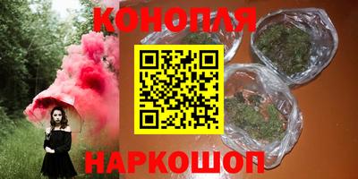 шишки Новозыбков