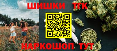 шишки Новозыбков