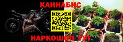 шишки Новозыбков